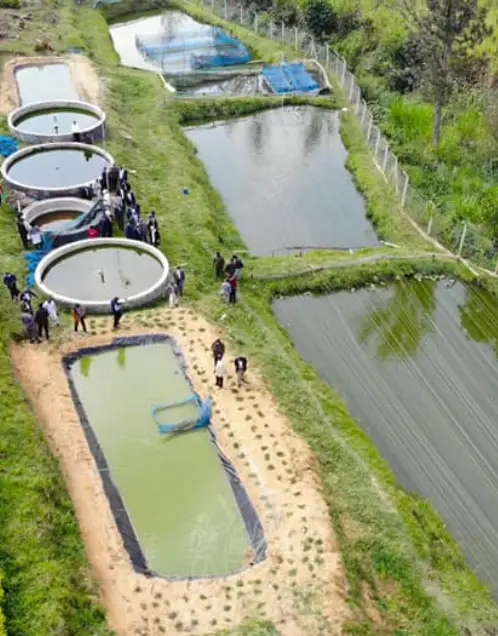 Aquaculture Training